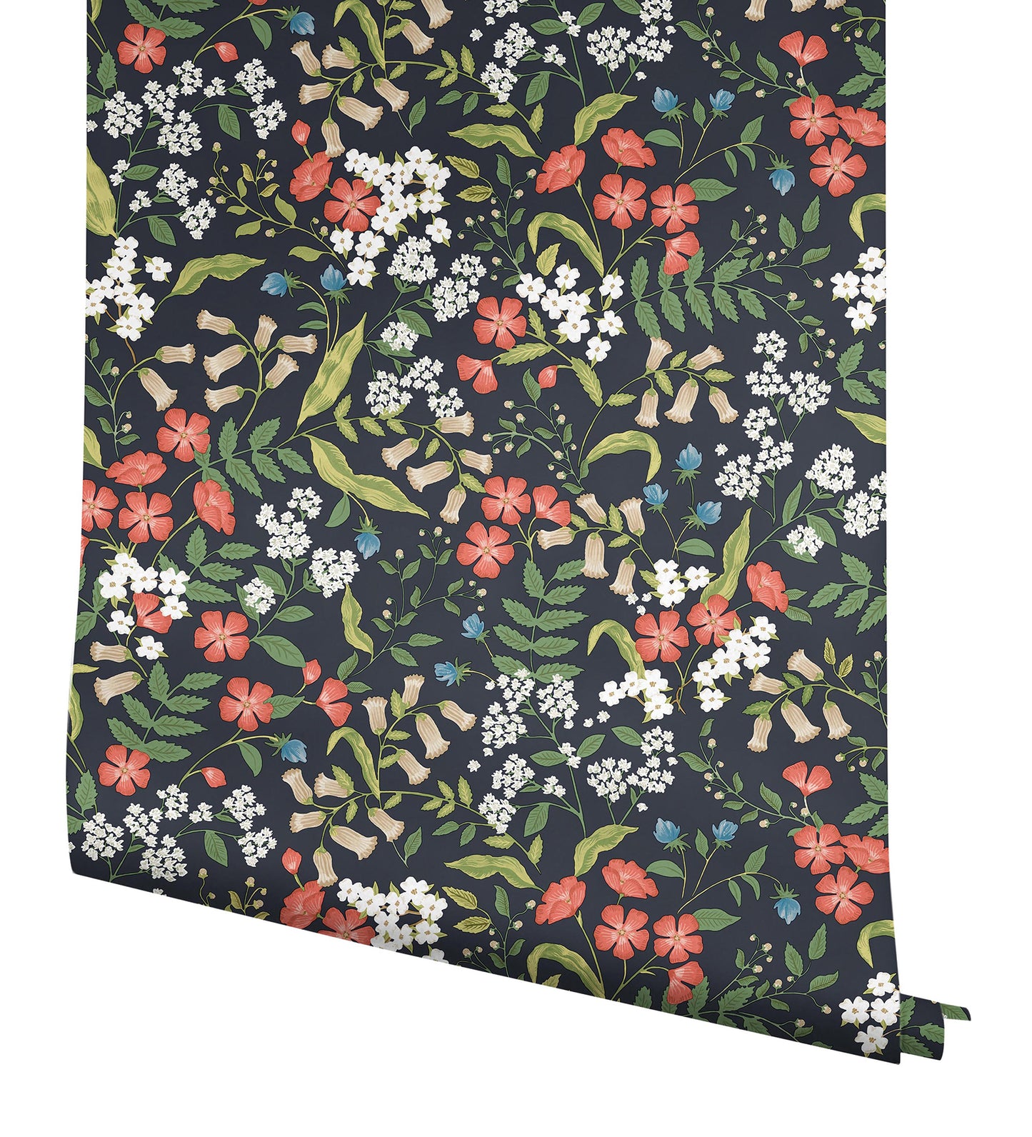 York Wallcoverings Peel and Stick Rifle Paper 3 Sweetbrier Black Peel and Stick Wallpaper Whimsical Florals and Flowers Blacks  Wallpaper - PSW1549RL