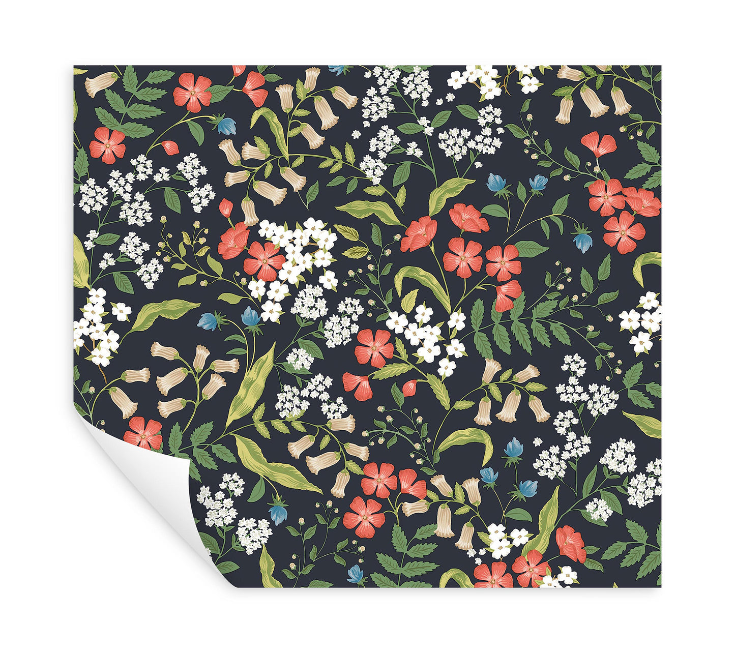 York Wallcoverings Peel and Stick Rifle Paper 3 Sweetbrier Black Peel and Stick Wallpaper Whimsical Florals and Flowers Blacks  Wallpaper - PSW1549RL