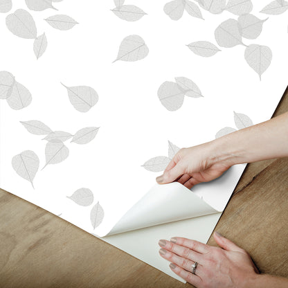 York Wallcoverings Aviva Stanoff Inner Peace Salt Grey Peel and Stick Wallpaper Transitional Botanical Greys  Wallpaper - PSW1562RL