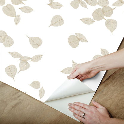 York Wallcoverings Aviva Stanoff Inner Peace Champagne Peel and Stick Wallpaper Transitional Botanical Beiges  Wallpaper - PSW1563RL