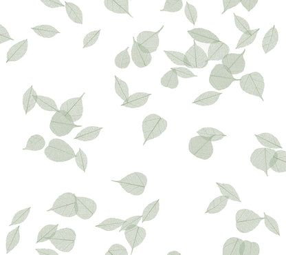 York Wallcoverings Aviva Stanoff Inner Peace Sage Peel and Stick Wallpaper Transitional Botanical Greens  Wallpaper - PSW1564RL