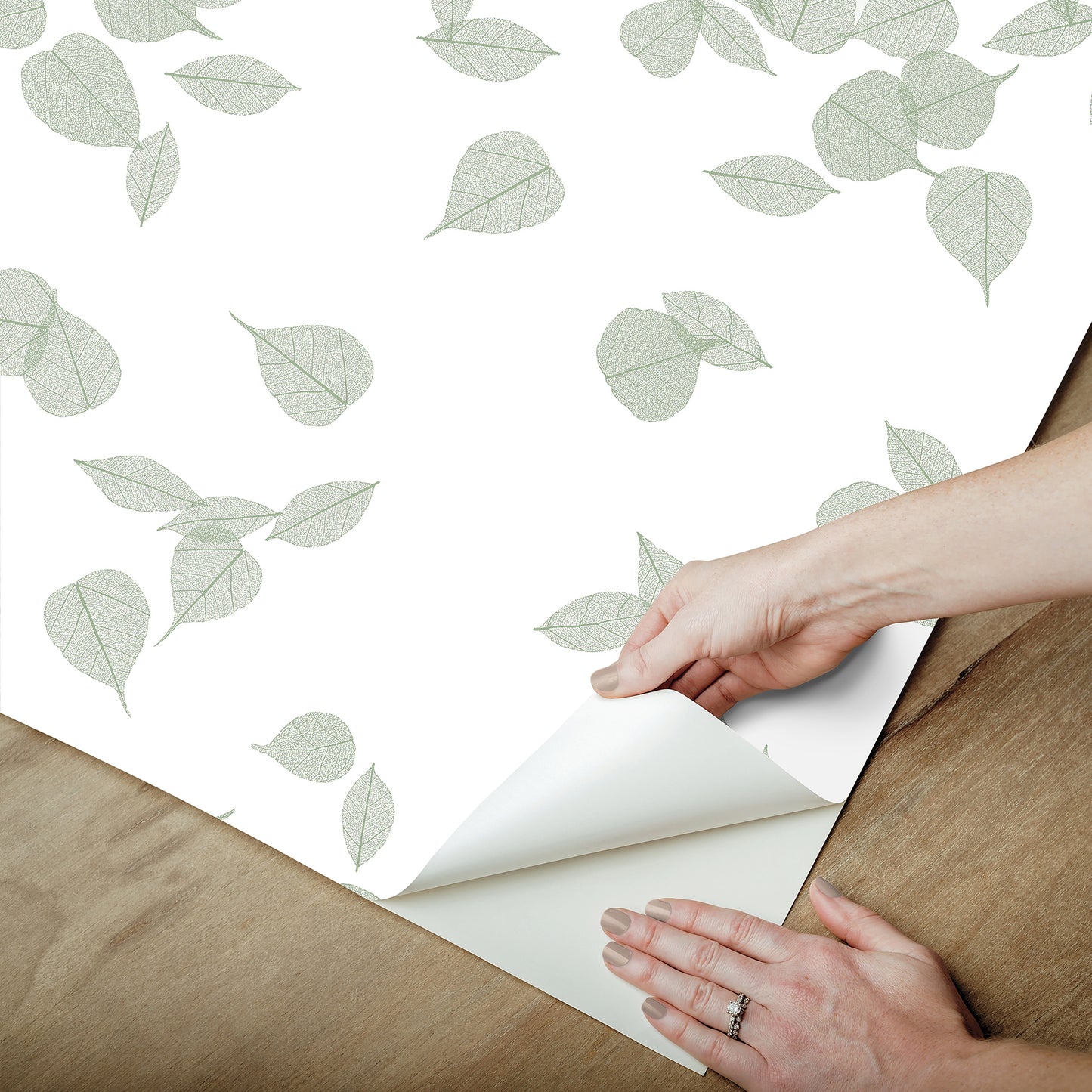 York Wallcoverings Aviva Stanoff Inner Peace Sage Peel and Stick Wallpaper Transitional Botanical Greens  Wallpaper - PSW1564RL