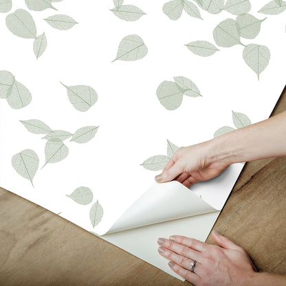 York Wallcoverings Aviva Stanoff Inner Peace Sage Peel and Stick Wallpaper Transitional Botanical Greens  Wallpaper - PSW1564RL