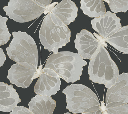 York Wallcoverings Aviva Stanoff Monarch Onyx Peel and Stick Wallpaper Kids Animals and Insects Blacks  Wallpaper - PSW1565RL