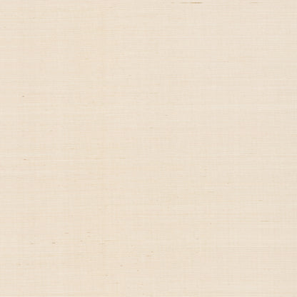 York Wallcoverings RoomMates Natural Sisal Plaster Peel and Stick Grasscloth Wallpaper Modern Grasscloth Yellows  Wallpaper - PSW1596RL