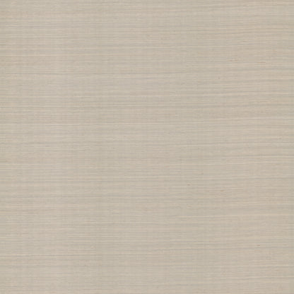 York Wallcoverings RoomMates Natural Sisal Warm Grey Peel and Stick Grasscloth Wallpaper Modern Grasscloth Greys  Wallpaper - PSW1597RL