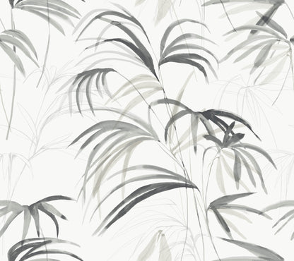 York Wallcoverings Simply Candice PSWP Inky Palms Black Peel and Stick Wallpaper Tropical Botanical Blacks  Wallpaper - PSW1611RL