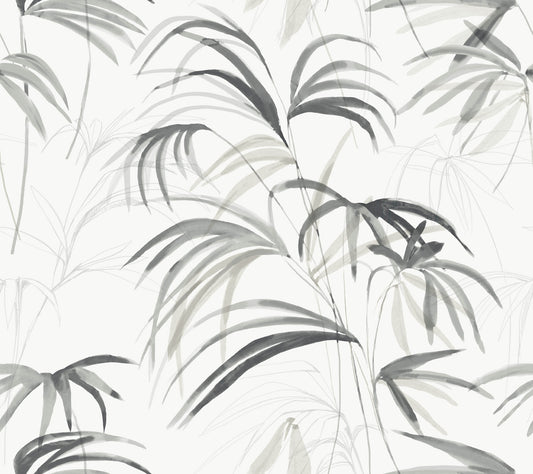 York Wallcoverings Simply Candice PSWP Inky Palms Black Peel and Stick Wallpaper Tropical Botanical Blacks  Wallpaper - PSW1611RL