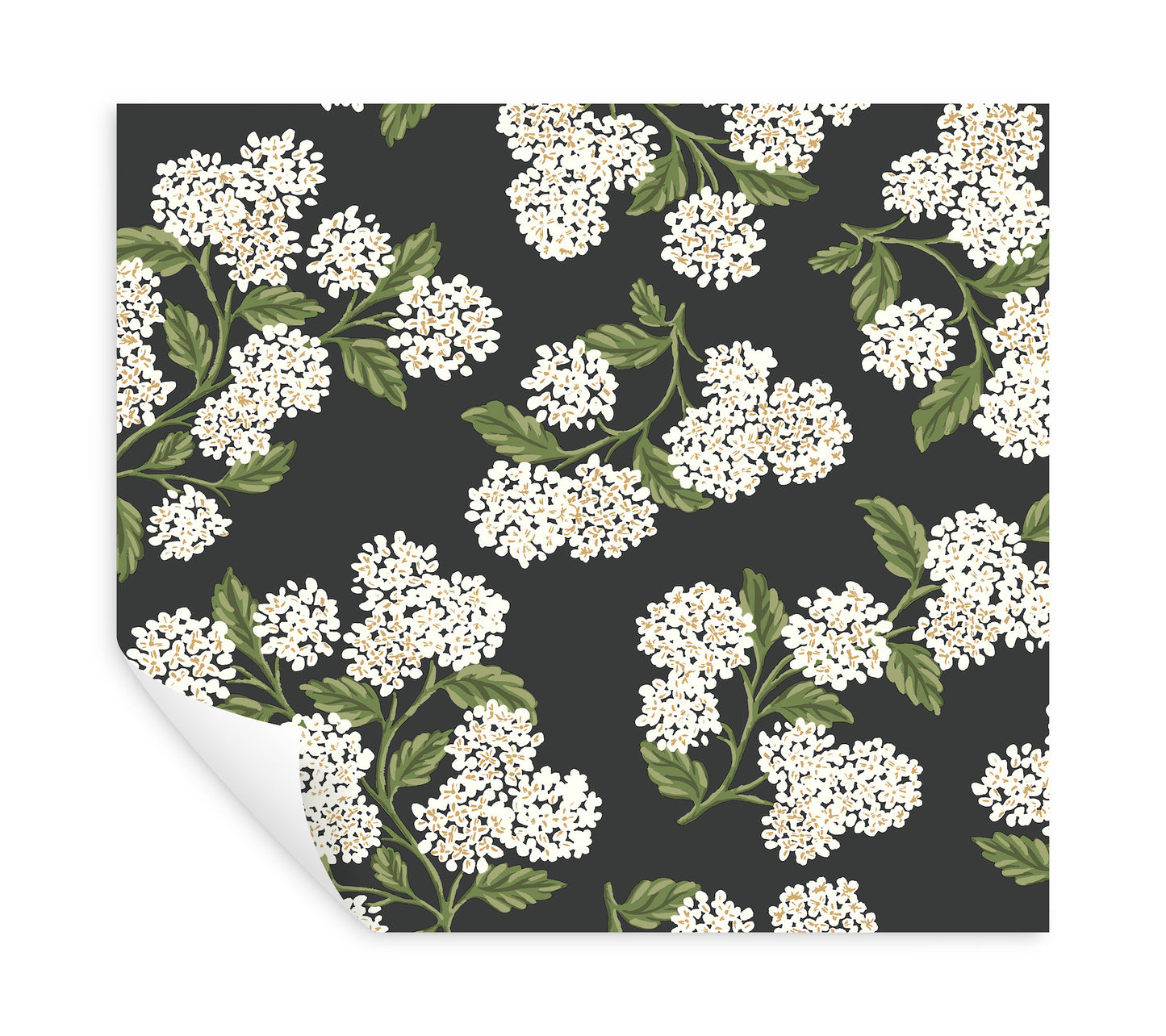 York Wallcoverings Rifle Paper Co P+S 4th Edition Hydrangea Black and White Peel and Stick Wallpaper Modern Florals Blacks  Wallpaper - PSW1618RL