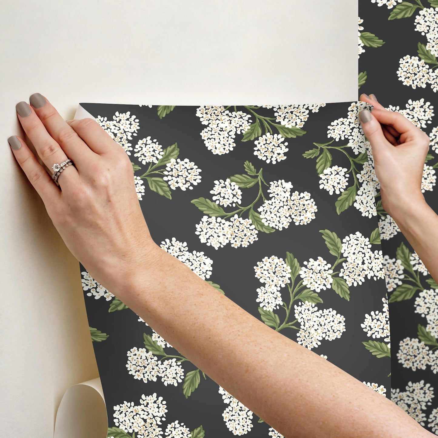 York Wallcoverings Rifle Paper Co P+S 4th Edition Hydrangea Black and White Peel and Stick Wallpaper Modern Florals Blacks  Wallpaper - PSW1618RL