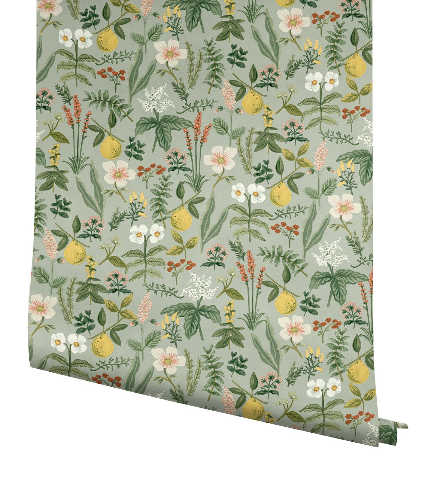 York Wallcoverings Rifle Paper Co. Herb Garden Sage Botanical Premium Peel + Stick Wallpaper Botanical Whimsical Sage  Wallpaper - PSW1675RL