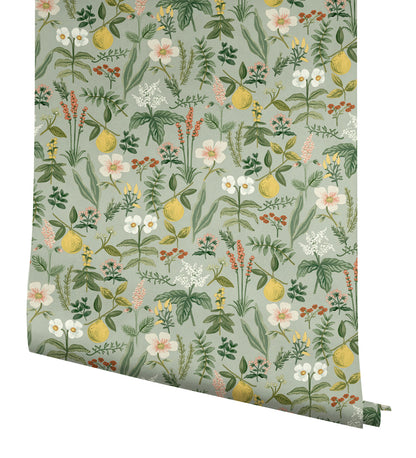 York Wallcoverings Rifle Paper Co. Herb Garden Sage Botanical Premium Peel + Stick Wallpaper Botanical Whimsical Sage  Wallpaper - PSW1675RL