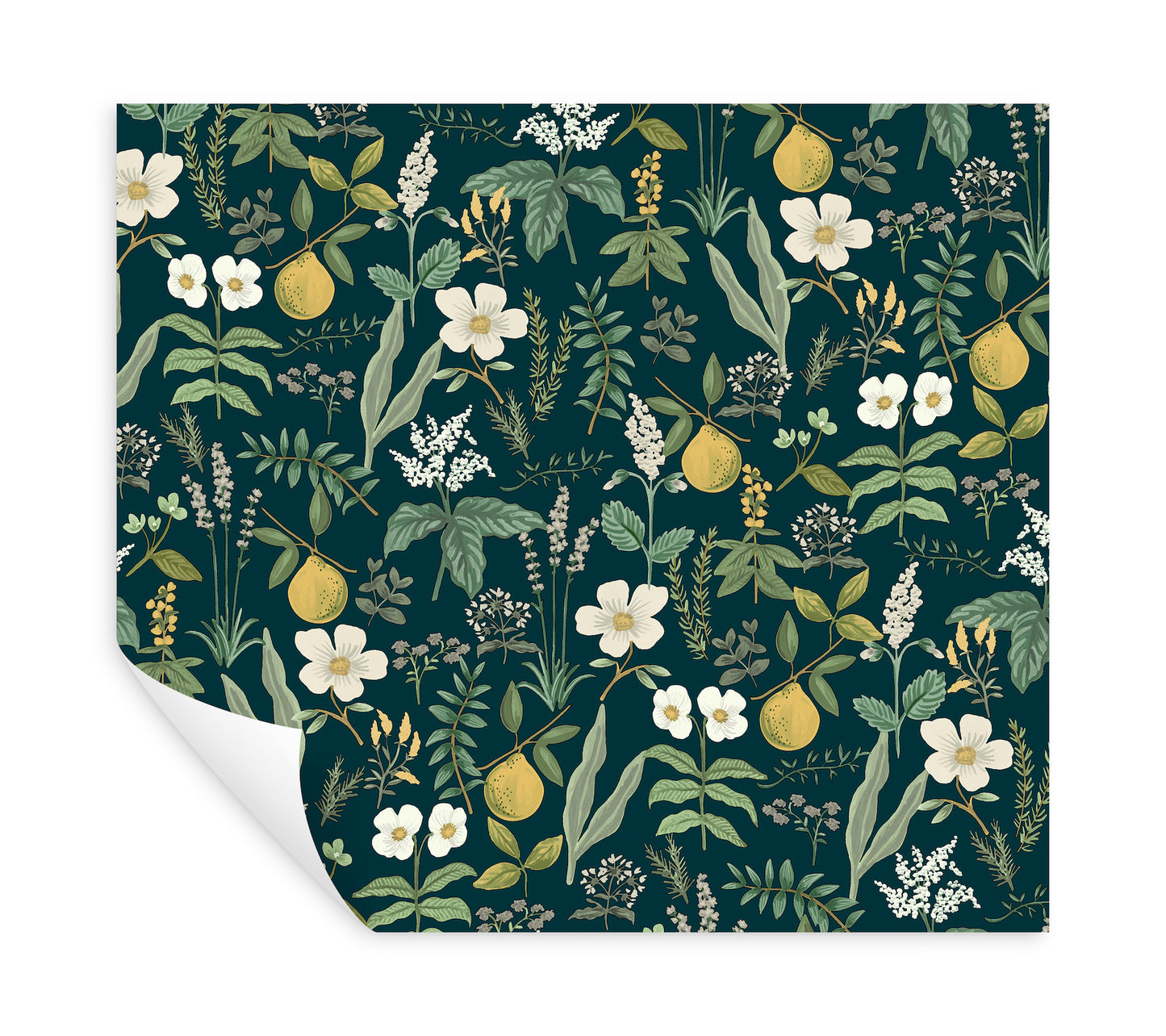 Navy peel-and-stick wallpaper with white flowers, green leaves and yellow citrus fruits; botanical pattern.