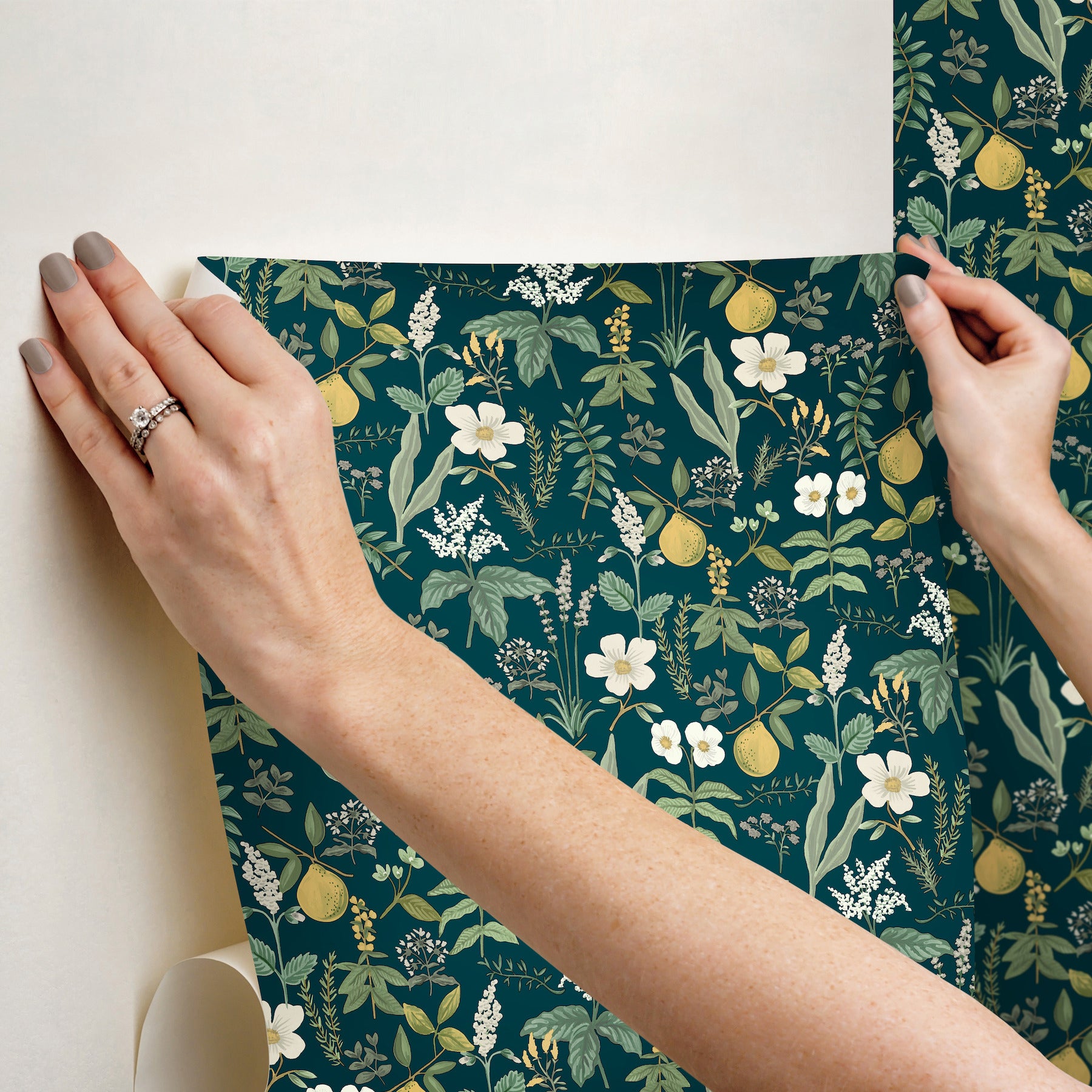 Hands unrolling navy botanical wallpaper featuring white flowers, green leaves and yellow pears.