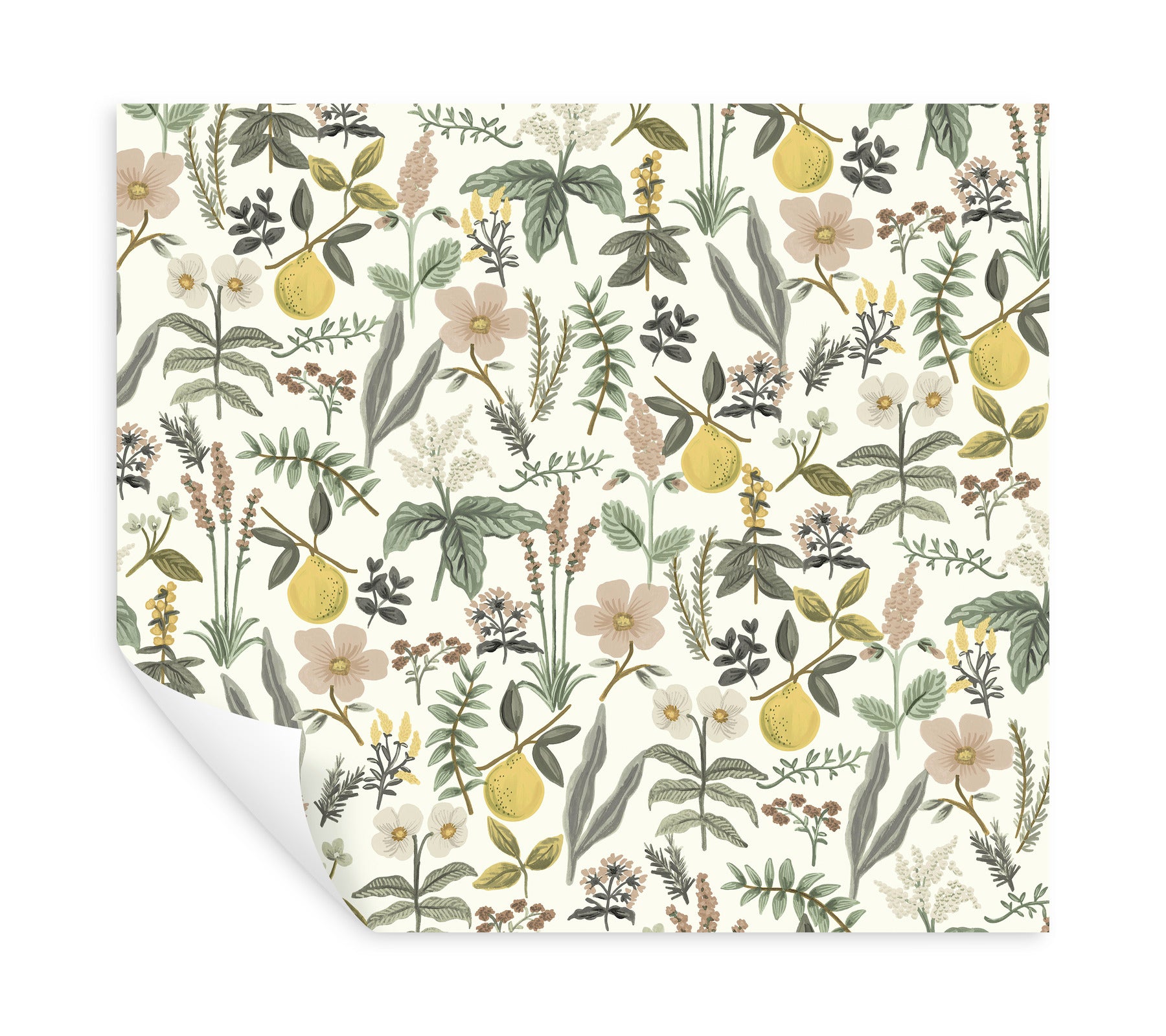 Cream wallpaper swatch with botanical print of lemons, leaves & pastel flowers; soft yellow, green & pink tones.