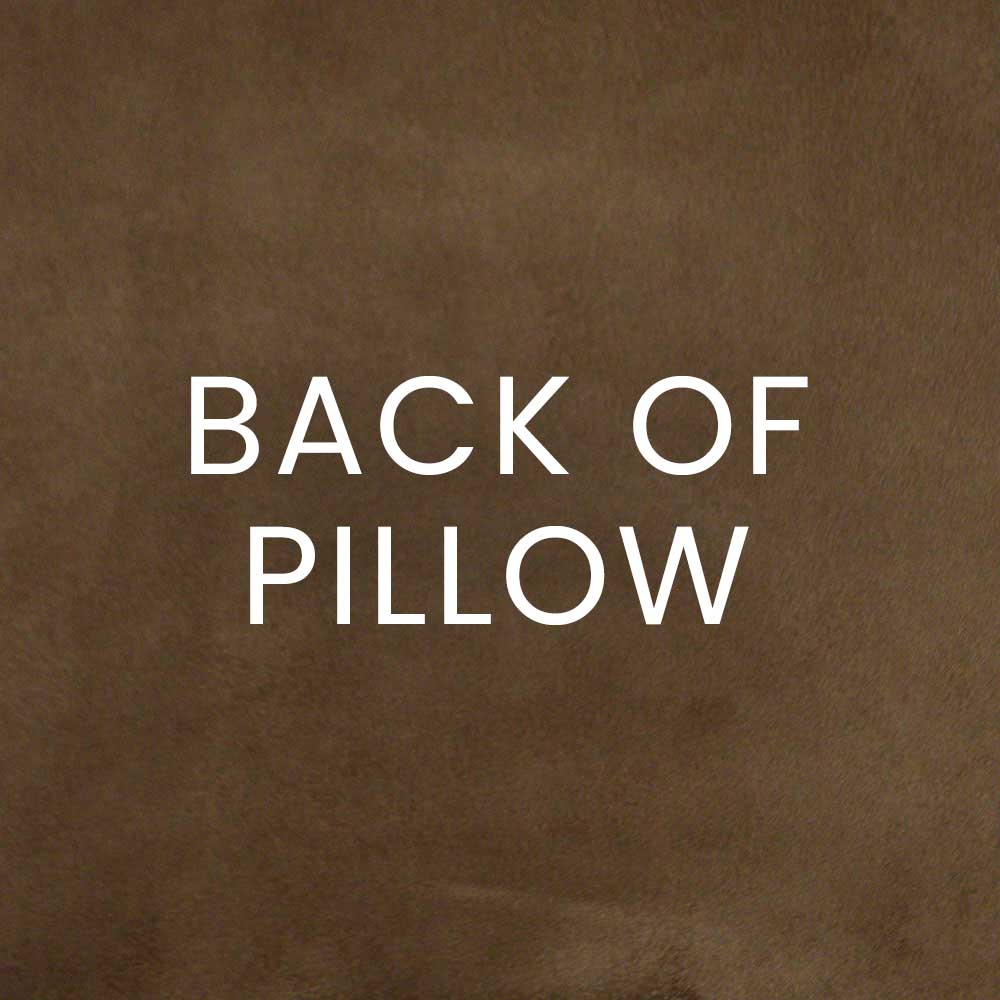 Tan suede texture backdrop with bold white 'BACK OF PILLOW' text.