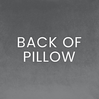 D.V. KAP HOME   24" x 24" Underwood Pillow - Aqua Traditional, Transitional, Textured    - 4130-A-2424