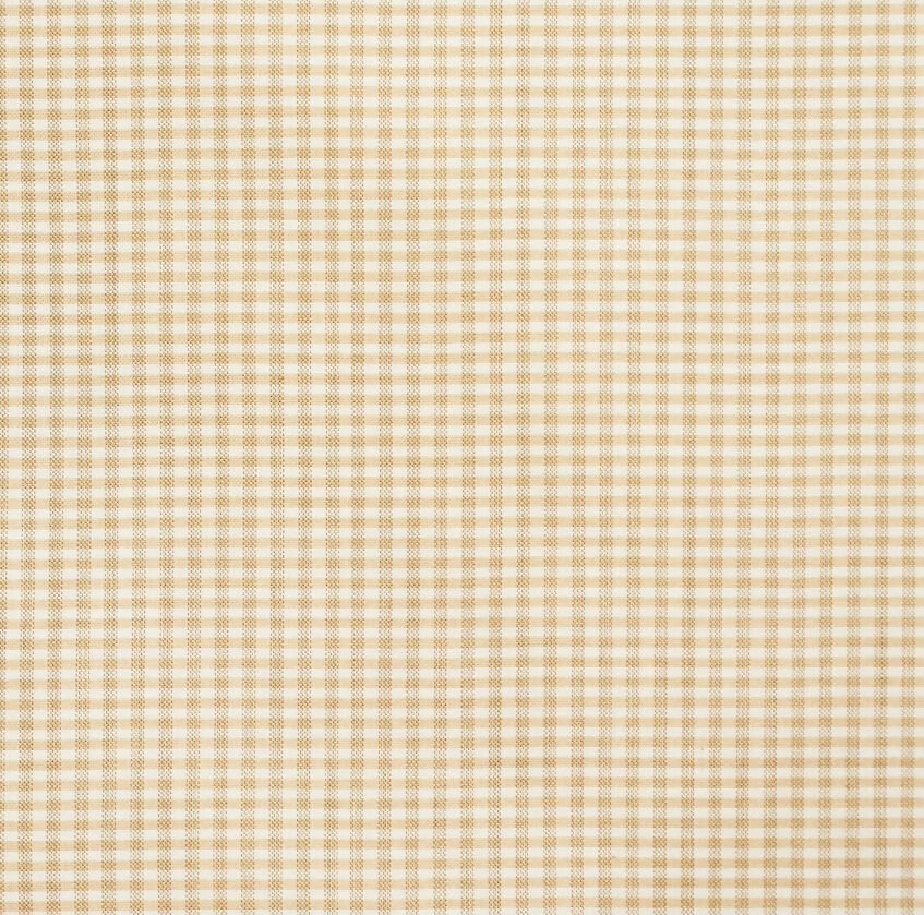 Schumacher Dalton Silk Gingham 3 yards