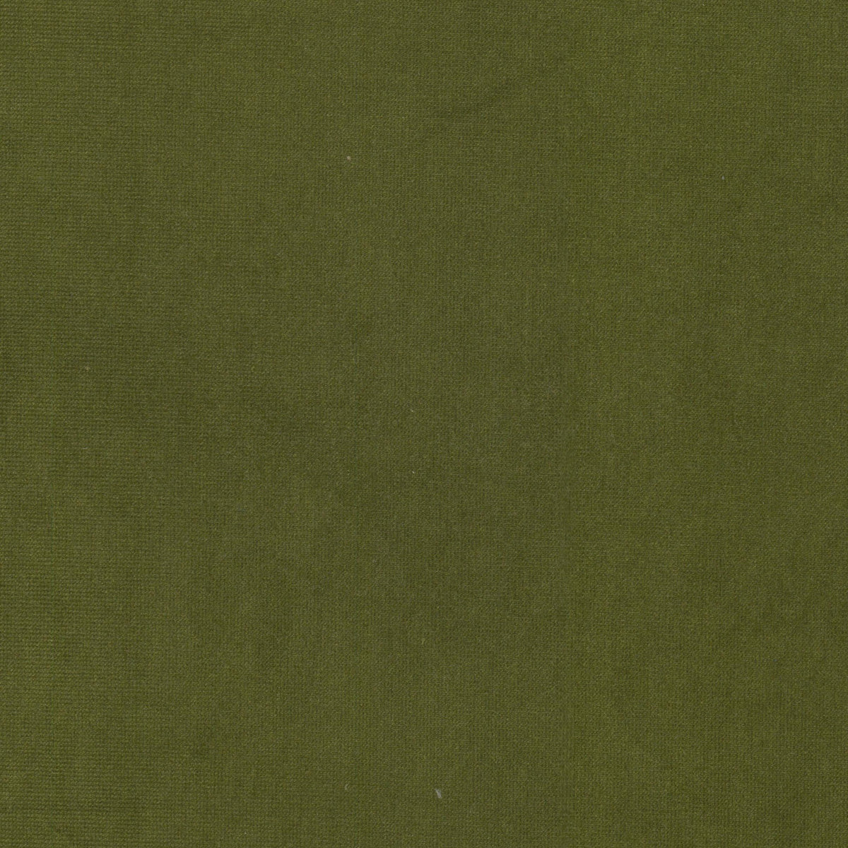 STOUT TEXTILES  UPHOLSTERY,VELVET TRADITIONAL, SOLID OLIVE   - QUEE-10