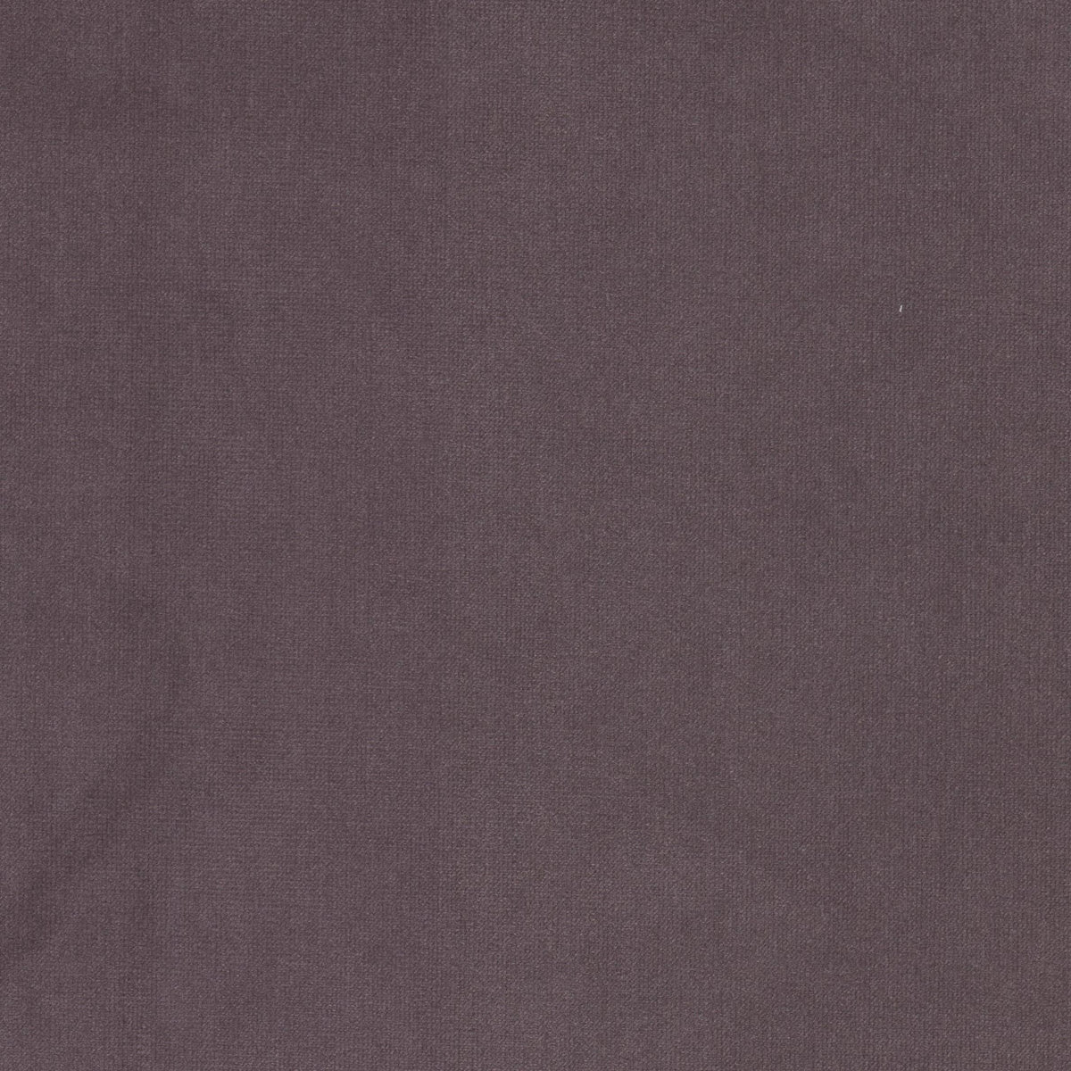 STOUT TEXTILES  UPHOLSTERY,VELVET TRADITIONAL, SOLID HEATHER   - QUEE-19