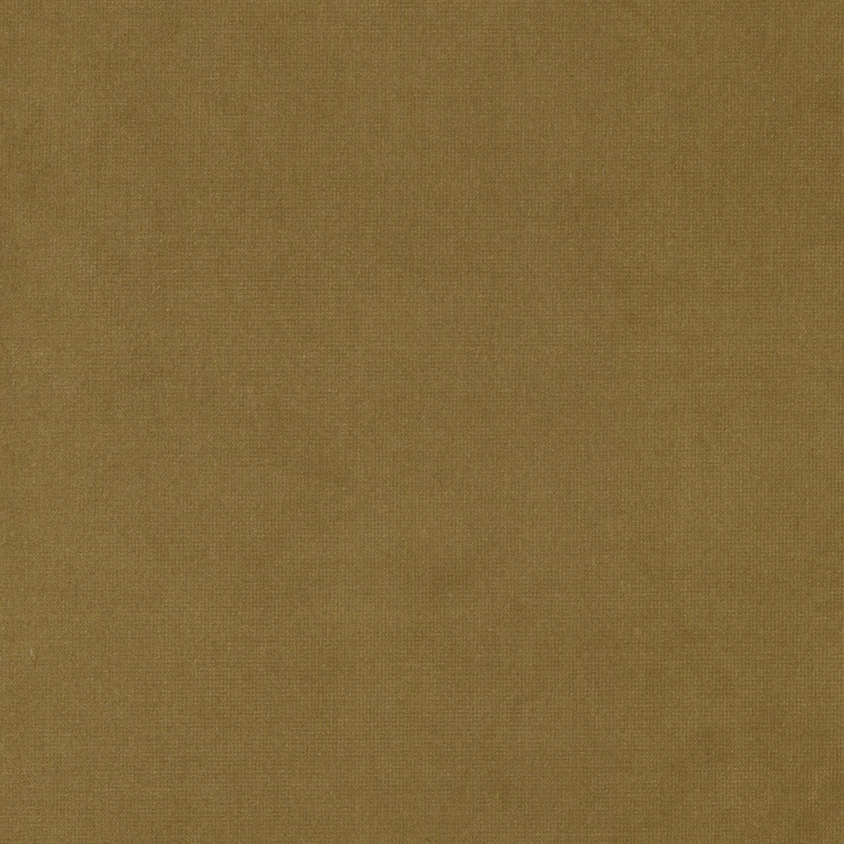 STOUT TEXTILES  UPHOLSTERY,VELVET TRADITIONAL, SOLID HONEY   - QUEE-26