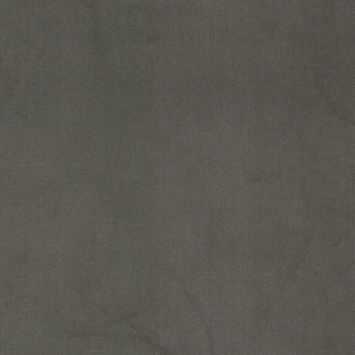 STOUT TEXTILES  UPHOLSTERY,VELVET TRADITIONAL, SOLID SHADOW   - QUEE-3