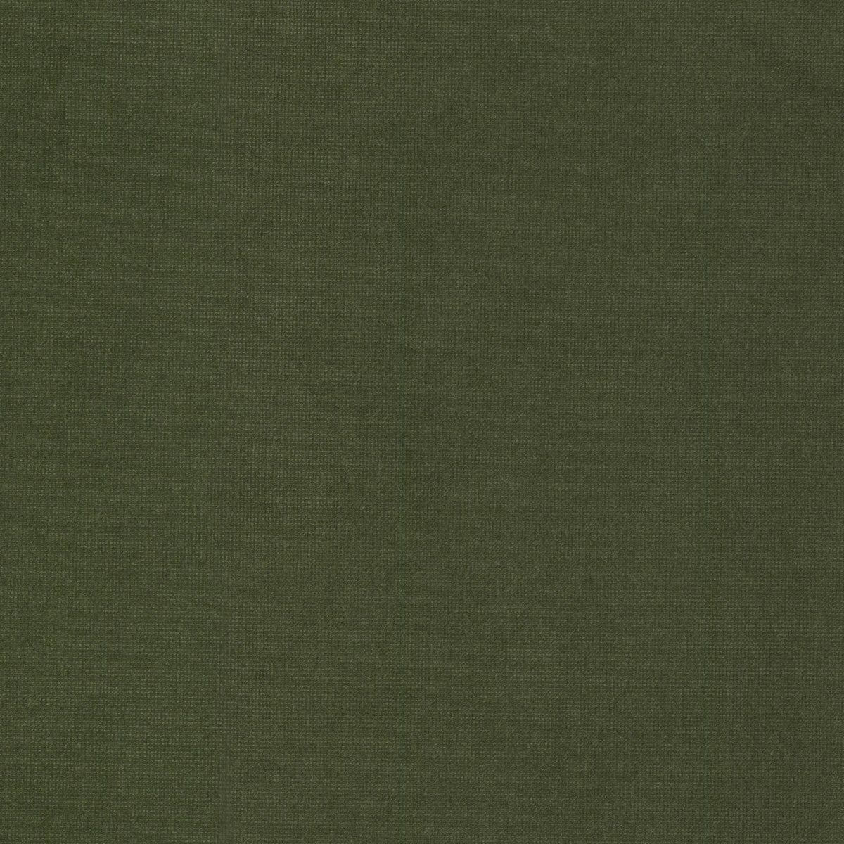 STOUT TEXTILES  UPHOLSTERY,VELVET TRADITIONAL, SOLID CHIVE   - QUEE-9