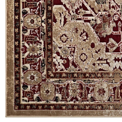 Modway Outlet Grania Ornate Vintage Floral Turkish 5x8 Area Rug by Modway  Living Room Rugs Burgundy and Tan - R-1096A-58