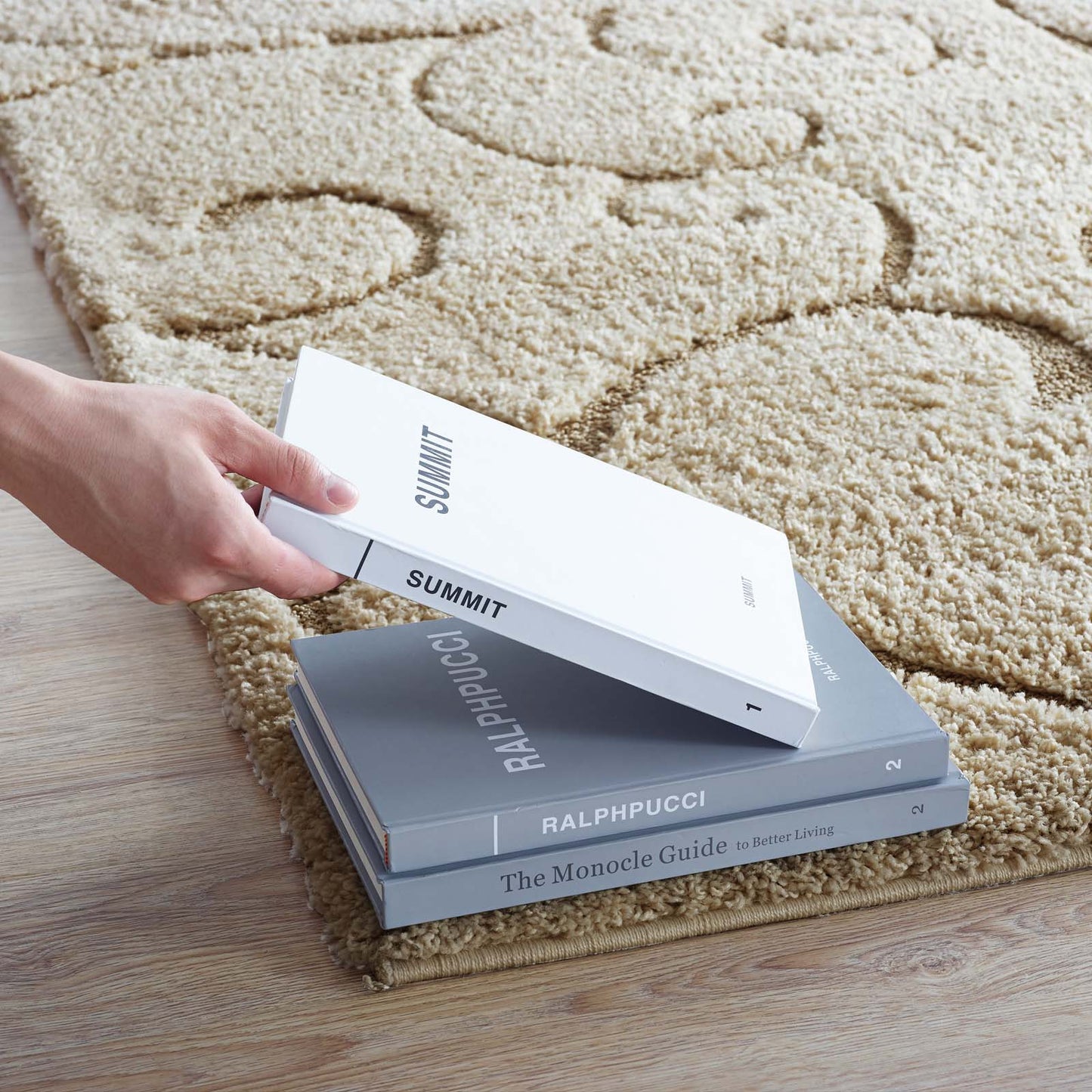 Modway Outlet Jubilant Burgeon Scrolling Vine Shag 5x8 Area Rug by Modway  Living Room Rugs Creame and Beige - R-1151A-58