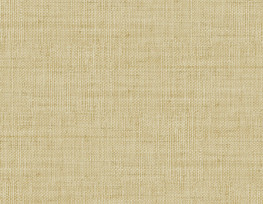 Seabrook Designs  Wild Bind Faux Weave Contemporary Cool Neutrals   - RA40308