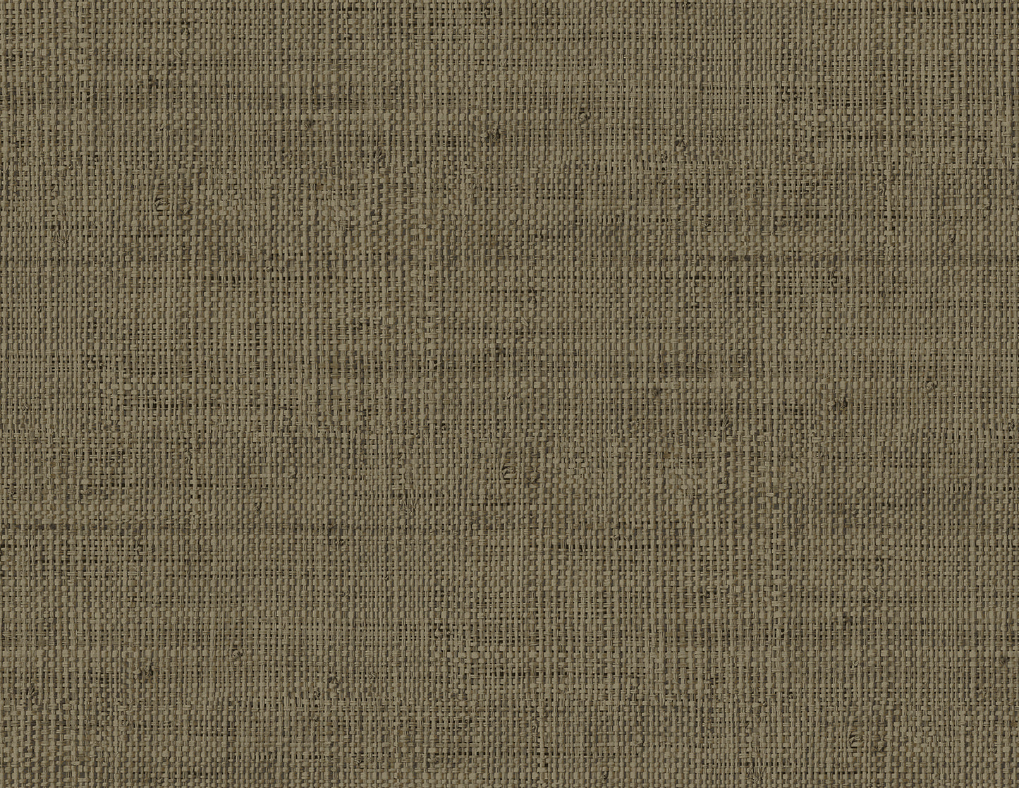 Seabrook Designs  Wild Bind Faux Weave Contemporary Browns, Taupes   - RA40316