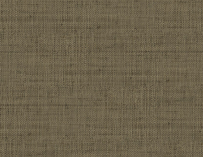 Seabrook Designs  Wild Bind Faux Weave Contemporary Browns, Taupes   - RA40316