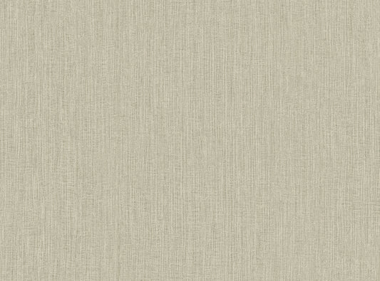 Seabrook Designs  Natural Tether Stria Contemporary Warm Neutrals, Beiges   - RA41522