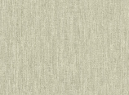 Seabrook Designs  Natural Tether Stria Contemporary Cool Neutrals   - RA41526