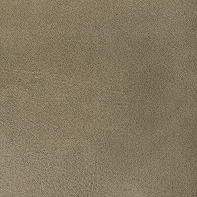 KRAVET CONTRACT VINYL/FAUX LEATHER  BRONZE,TAUPE,BEIGE   - RAMBLER.106.0