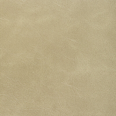 KRAVET CONTRACT VINYL/FAUX LEATHER  BEIGE,WHEAT,BEIGE   - RAMBLER.16.0