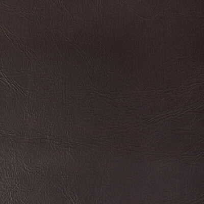 KRAVET CONTRACT VINYL/FAUX LEATHER  ESPRESSO,CHOCOLATE,BROWN   - RAMBLER.6666.0