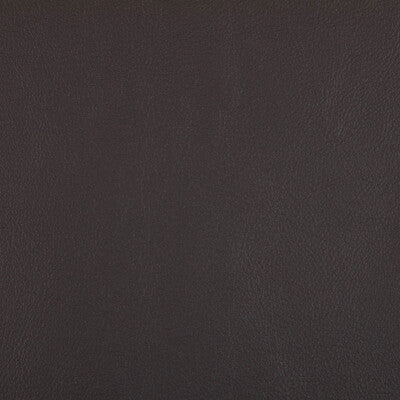 KRAVET CONTRACT VINYL/FAUX LEATHER  BLACK,BLACK,BLACK   - RAND.811.0