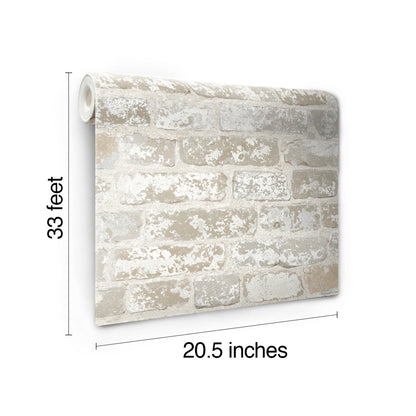 York Wallcoverings Beige & Neutrals Up the Wall Off White & Grey Wallpaper   Off White & Grey   - RB4304