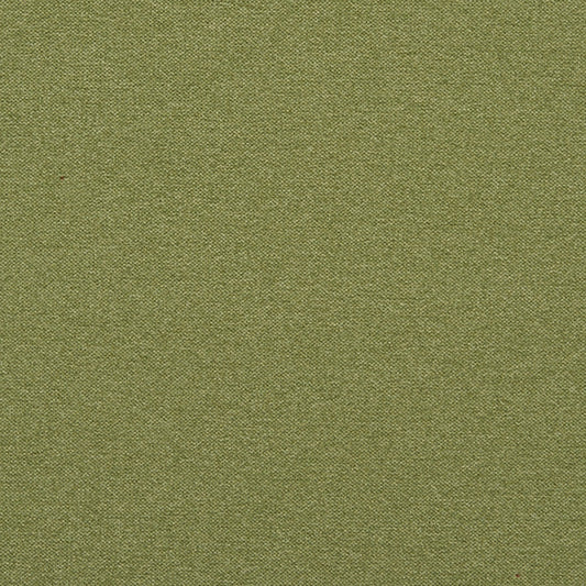 JF Fabrics Crypton REMINGTON 74 Fabric Traditional,Transitional,Contemporary,Plain Green  Texture - 5775274 J7031
