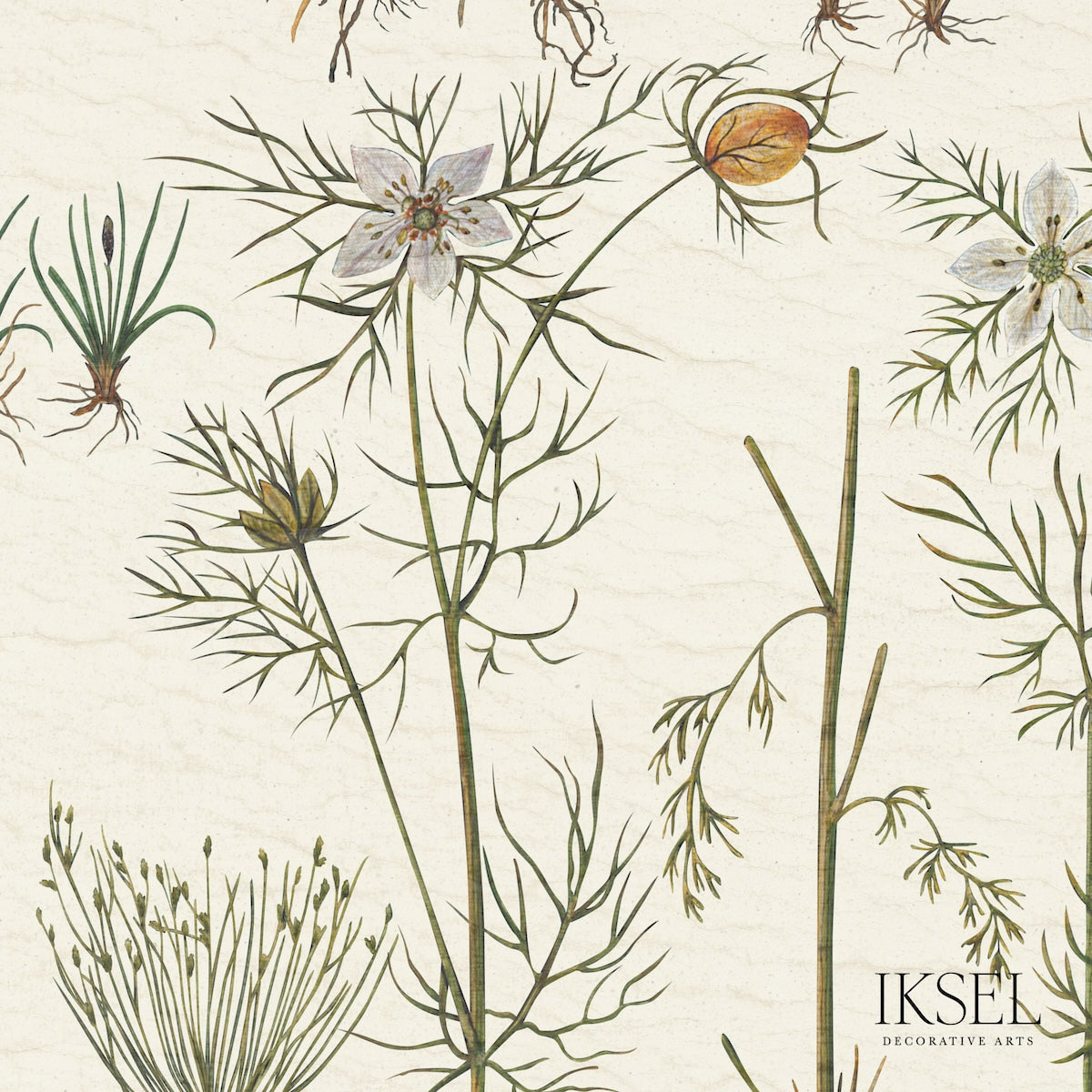 SCHUMACHER  IKSEL HERBIER WOVEN WOVEN WHITE   - RF417CS70