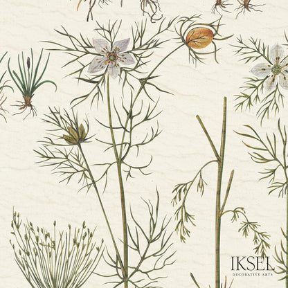 SCHUMACHER  IKSEL HERBIER WOVEN WOVEN WHITE   - RF417CS70