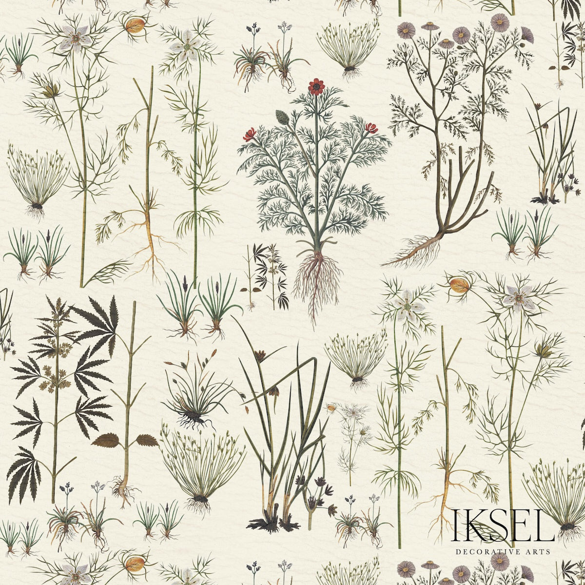 SCHUMACHER  IKSEL HERBIER WOVEN WOVEN WHITE   - RF417CS70