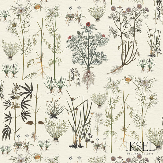 SCHUMACHER  IKSEL HERBIER WOVEN WOVEN WHITE   - RF417CS70