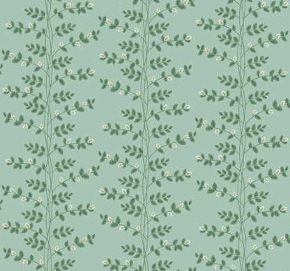 Seamless botanical wallpaper featuring slender climbing vine stems, small leaves and tiny pale flowers on a soft teal background.