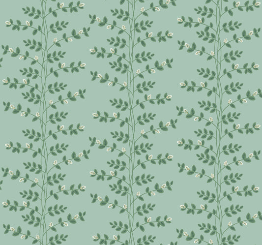York Wallcoverings Rifle Paper Co. 3rd Edition Climbing Vine Soft Teal Wallpaper Whimsical Botanical Greens   - RF7421