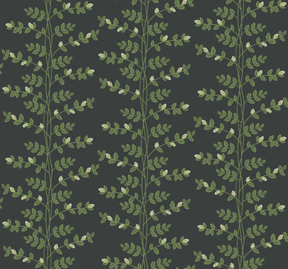 York Wallcoverings Rifle Paper Co. 3rd Edition Botanical Climbing Vine Whimsical Greens   - RF7422