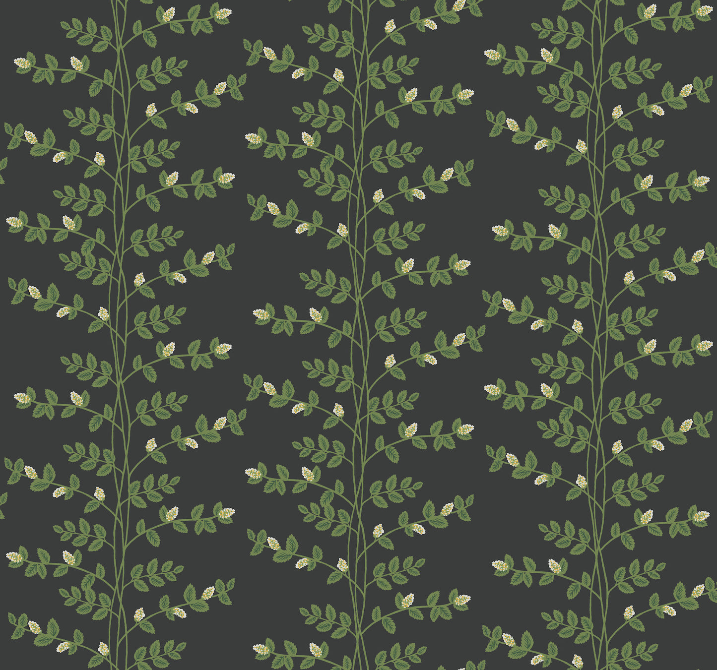 York Wallcoverings Rifle Paper Co. 3rd Edition Climbing Vine Black Wallpaper Whimsical Botanical Greens   - RF7422