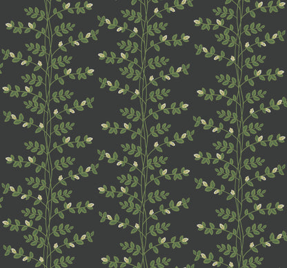 York Wallcoverings Rifle Paper Co. 3rd Edition Climbing Vine Black Wallpaper Whimsical Botanical Greens   - RF7422