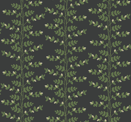 York Wallcoverings Rifle Paper Co. 3rd Edition Climbing Vine Black Wallpaper Whimsical Botanical Greens   - RF7422